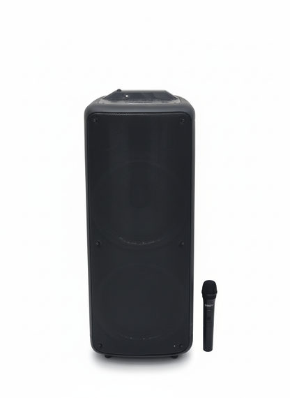 FK 221 100W Party Speaker