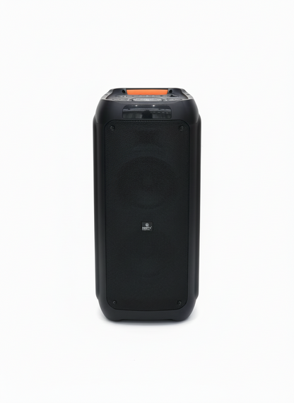 BM111 60 W Party Speaker