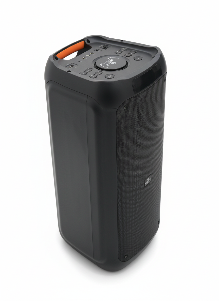 BM111 60 W Party Speaker