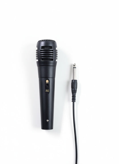 GR22 60W Party Speaker