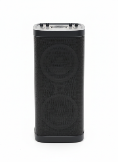 BM 103 80W Party Speaker