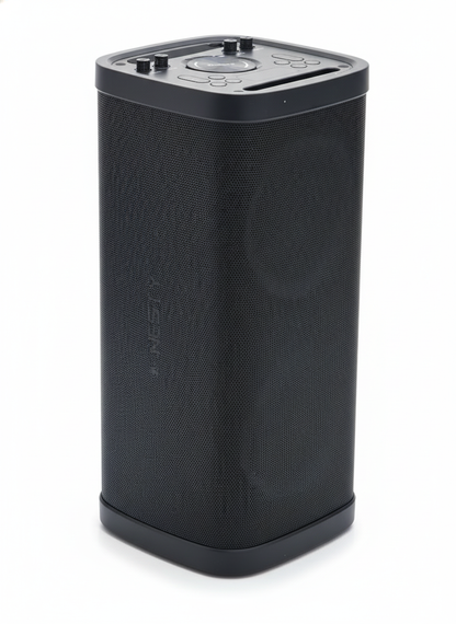 BM 103 80W Party Speaker