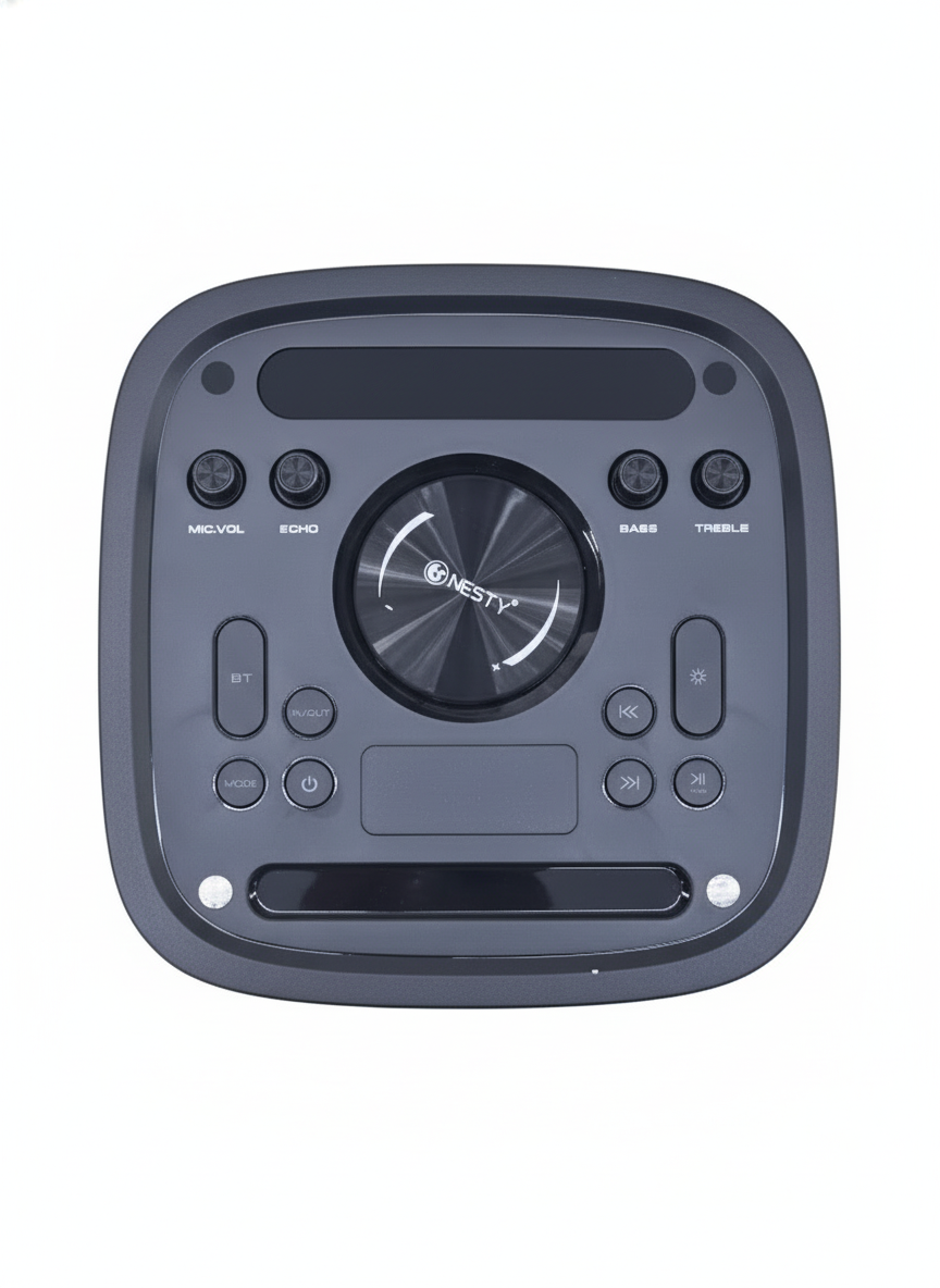 BM 103 80W Party Speaker