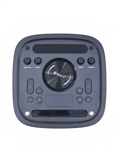 BM 103 80W Party Speaker