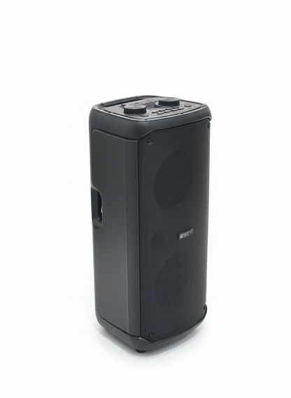 GR 55 Party Speaker