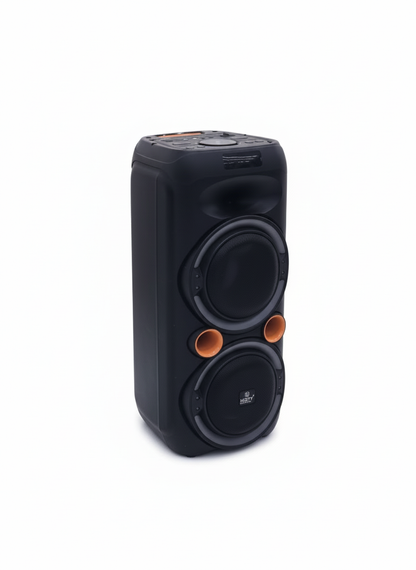 GR22 60W Party Speaker