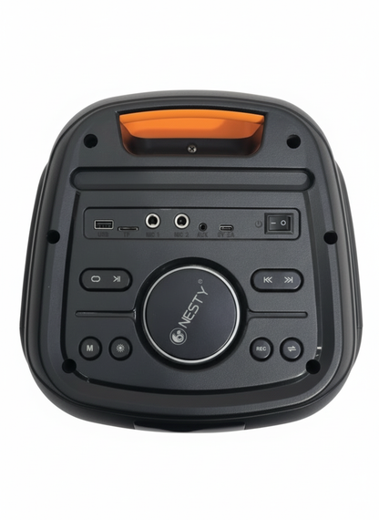 GR22 60W Party Speaker