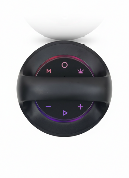 FK 211 Portable Bluetooth Speaker