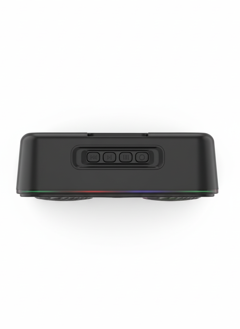 GR66 GO 8W Mini Speaker