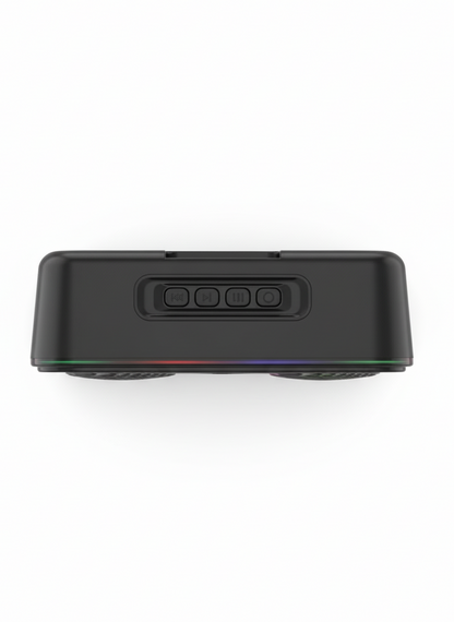 GR66 GO 8W Mini Speaker