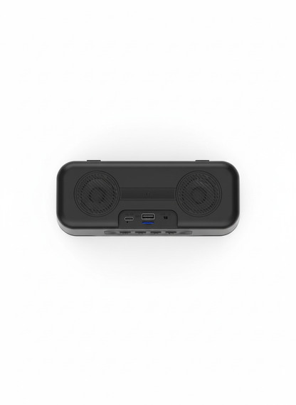 GR66 GO 8W Mini Speaker