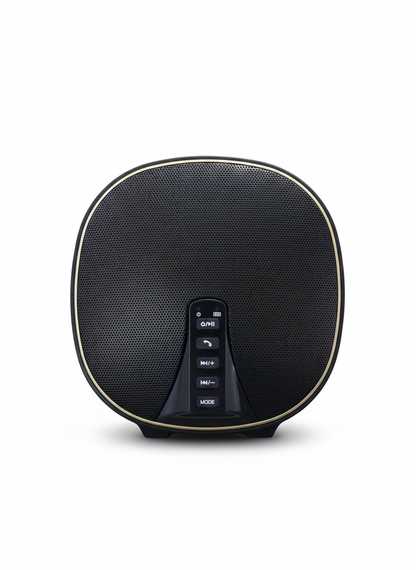 FK 212 10W Mini Speaker