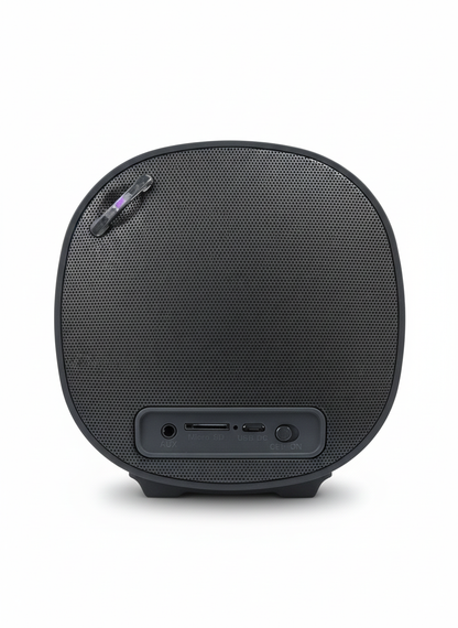 FK 212 10W Mini Speaker