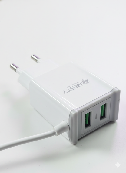 GRTA 006 Dual USB port Fast Wall Charger
